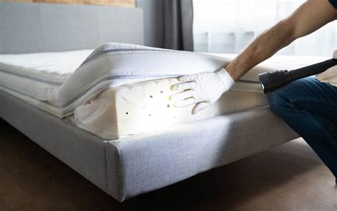 Bed Bugs In Mattress Encasements | Orkin Canada