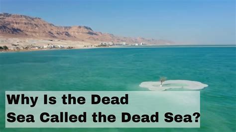 Why Is the Dead Sea Called the Dead Sea - YouTube