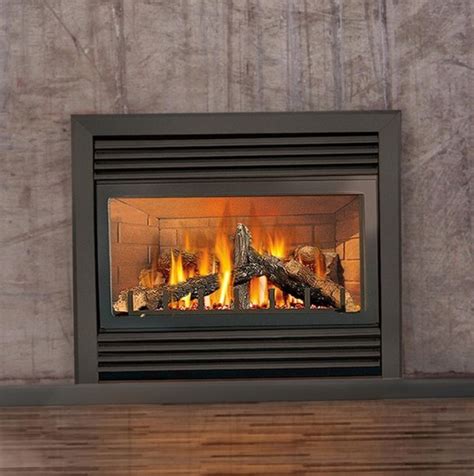 Napoleon Gas Fireplaces Outdoor | Home Design Ideas