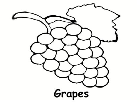 Grapes coloring pages to download and print for free