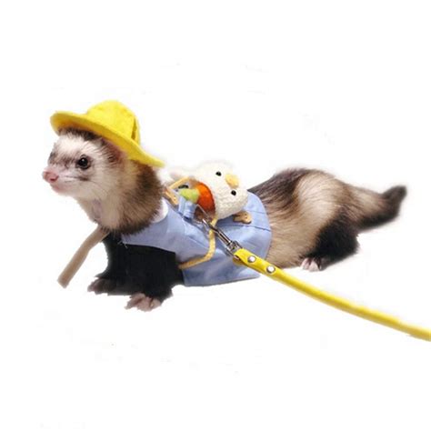 Ferret Costumes