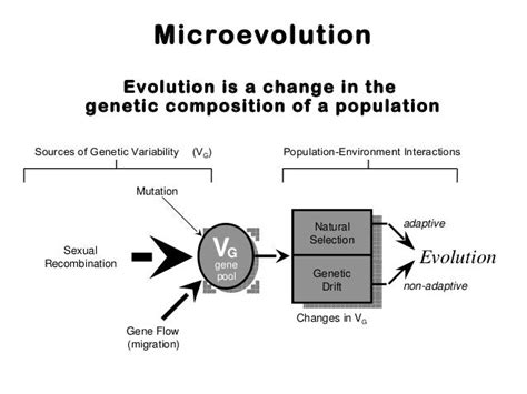 Microevolution