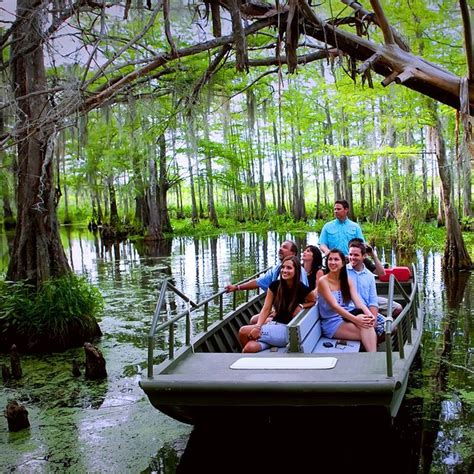 This Nighttime Swamp Tour Will Show You A Whole New Side Of New Orleans