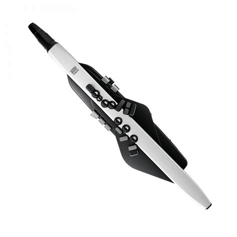 Roland Aerophone AE-20 Digital Wind Instrument with Headphones at Gear4music