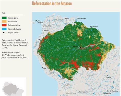 Amazon Rainforest Facts, Amazon Rain Forest Map & Information Travel Guide