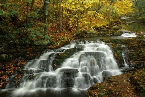 Pennsylvania Fall Foliage 2024 - Rove.me