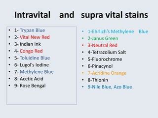 Vital staining ppt notes | PPT