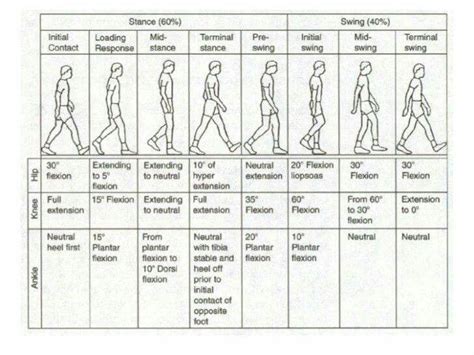 Gait analysis | Physical therapy assistant, Physical therapist assistant, Physical therapy