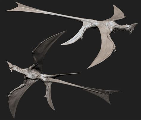 ArtStation - Flying creature, Florent Desailly | Creature concept art ...