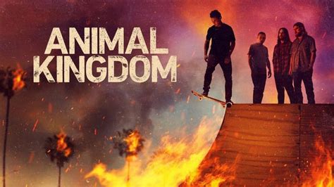 Animal Kingdom – Season 5 – Teaser Promos *Updated 3rd March 2021 ...