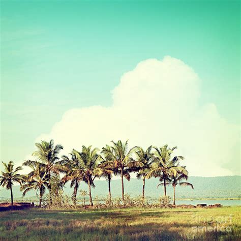 Vintage Beach Photography