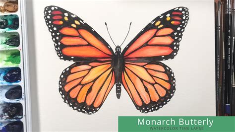 Monarch Butterfly Painting