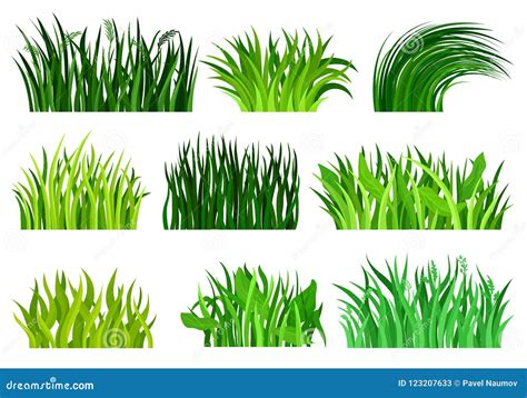 Flat Vector Set of Different Decorative Grass Borders. Bright Green Wild Herb. Nature and Botany ...