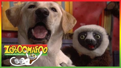 🐒 Zoboomafoo 253 - Can You Feel It? - Animal shows for kids | Full Episode | HD 🐒 - YouTube