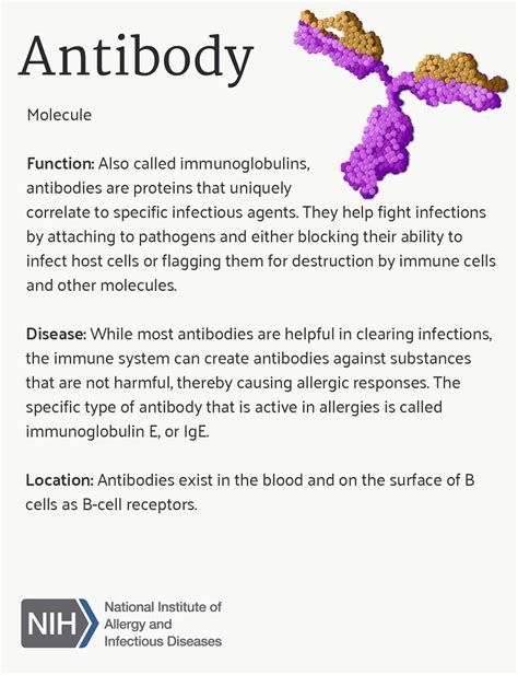 Antibody | Antibody function, relationship to disease, and l… | Flickr