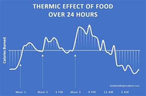 Thermic Effect of Food - How to Easily Burn 5-10% More Calories