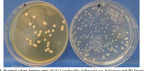 Figure 1 from Effects of Tea (Camellia sinensis) Phytochemicals on the Yoghurt Cultures ...