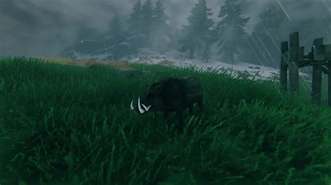 Valheim Animal Taming Guide - How to Tame Boars, Wolves | GameWatcher