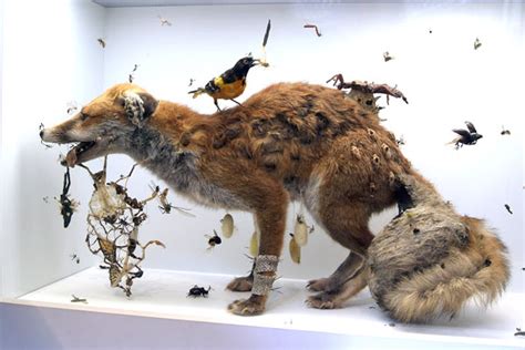 lindalemonjello: tessa farmer : taxidermy fine art