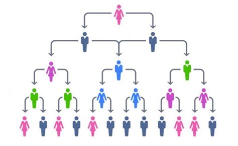 What Are The Advantages of a Hierarchical Organizational Structure?