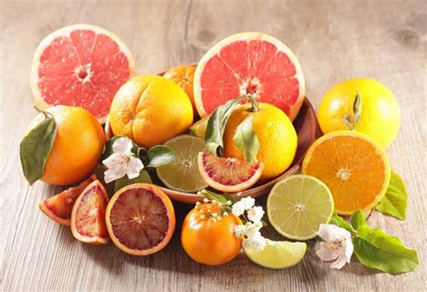 List of Citrus Fruits Names To Teach Preschoolers & Kids