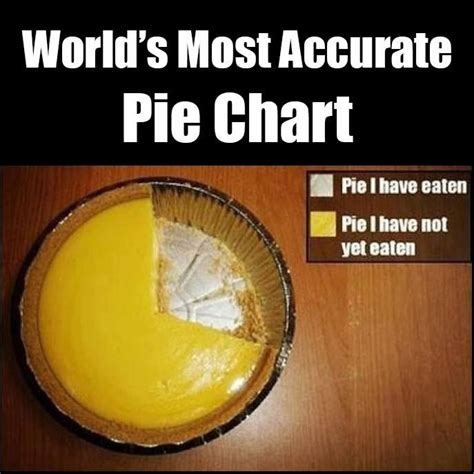 World's Most Accurate Pie Chart via @Marco Marletta Funny Pie Charts ...