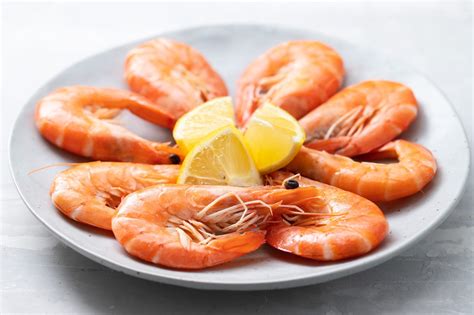 A Guide to Finding a Frozen Seafood Supplier - Chuvatech