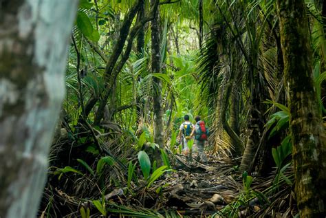 Corcovado National Park Full-Day Hiking Tour - Kated