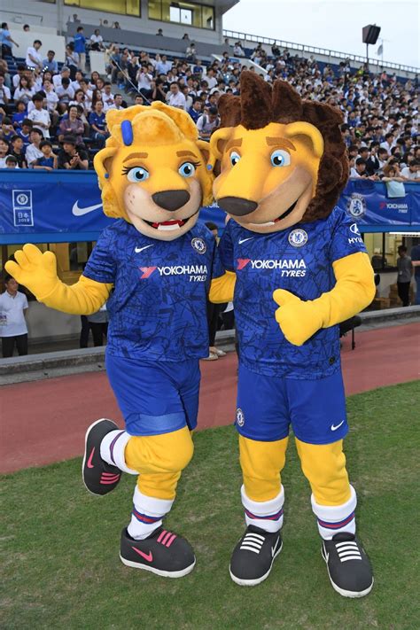 Premier League mascots - ranked From Manchester United's Fred the Red to Arsenal's Gunnersaurus ...