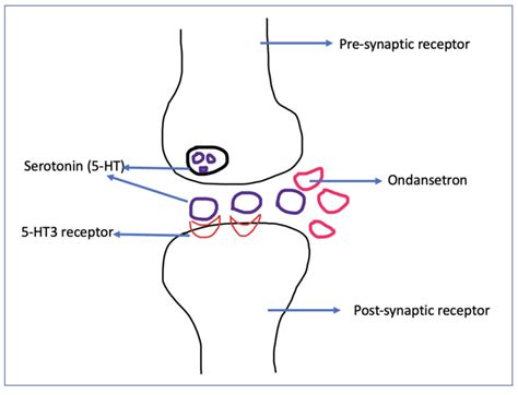 Ondansetron - BioPharma Notes