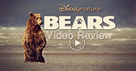 Disney's BEARS Video Review - Movieguide | Movie Reviews for Christians