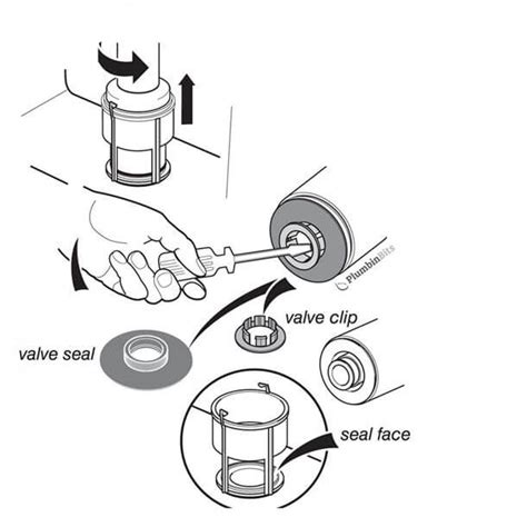 Toilet Flush Valve Seal | ubicaciondepersonas.cdmx.gob.mx