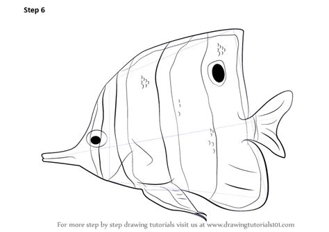 Learn How to Draw a Butterflyfish (Fishes) Step by Step : Drawing Tutorials