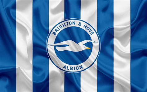 Brighton Hove Albion, Football Club, Premier, brighton hove albion fc HD wallpaper | Pxfuel