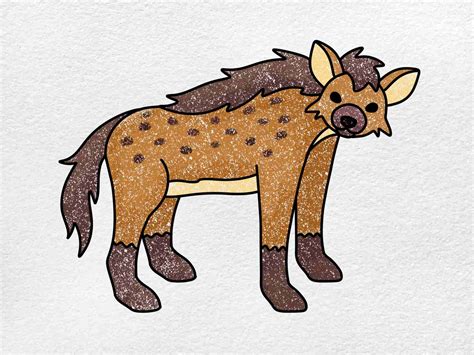 How to Draw a Hyena - HelloArtsy