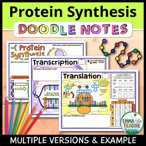 Protein Synthesis Doodle Notes - Emmatheteachie