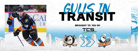 Anaheim Ducks Announce Training Camp Roster Moves | San Diego Gulls