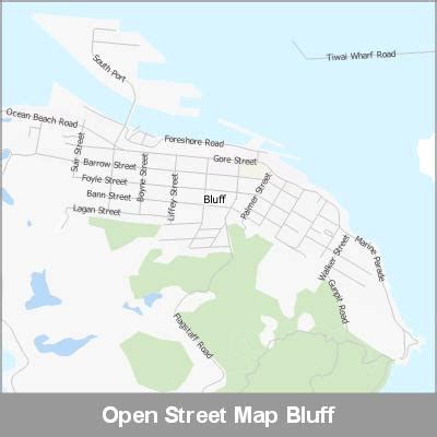 2020 Street Map Bluff - Digital Maps