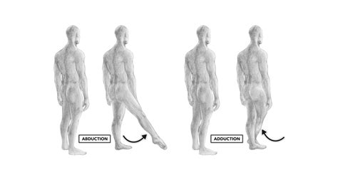 CrossFit | Movement about Joints, Part 5: The Hip