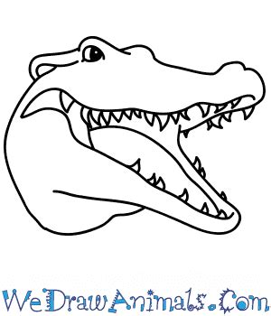 How to Draw a Crocodile Face