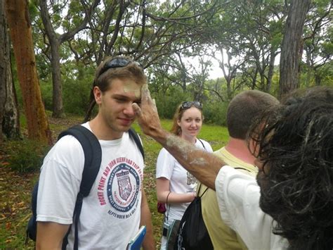 Ku Ring Gai National Park - Australia Ecotourism