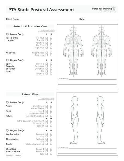 Posture Assessment PDF: The Basics