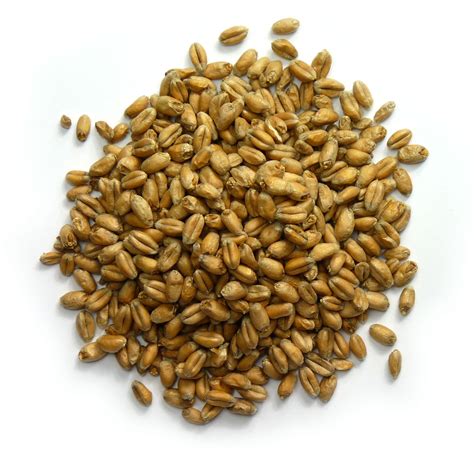 Warminster Base Malts | for brewers, distillers and craft beer producers