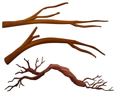 A set of tree branch 299682 Vector Art at Vecteezy