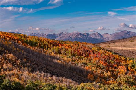 Eastern Sierra Fall Colors – Getty Photography