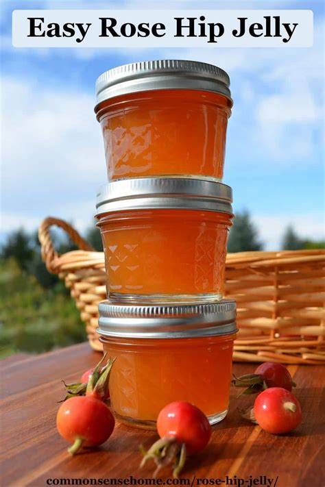 Rose Hip Jelly from Wild or Garden Roses (Low Sugar)