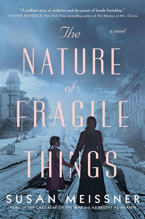 Book Feature - The Nature of Fragile Things by Susan Meissner - Book ...