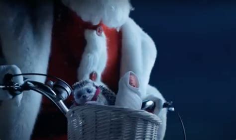 Aldi Christmas advert has viewers in tears | Entertainment Daily