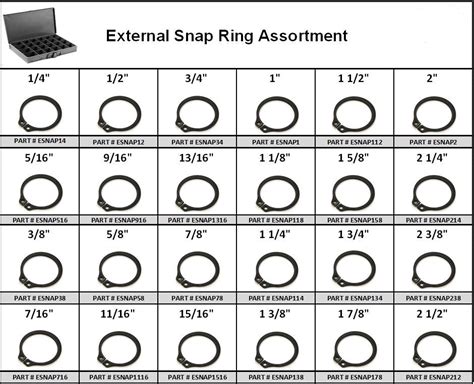 External Snap Rings Assortment in 24 Hole Metal Locking Tray — Red Boar Chain & Fastener ...