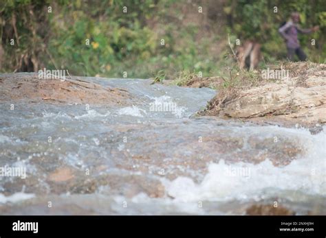 Natural beauty scene of tea garden, water fall in Sylhet, Bangladesh ...